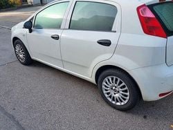 Weiß Gebraucht 2015 Fiat Punto Kleinwagen | 5.299 € (Fairer Preis)