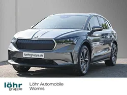 Grau Neu 2025 Skoda Enyaq iV SUV | 52.450 € (Fairer Preis)
