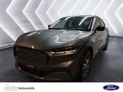 Grau Gebraucht 2023 Ford Mustang Mach-E Standard Range SUV | 43.910 € (Teuer)