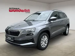 Grau Neu 2024 Skoda Karoq Ambition SUV | 35.990 € (Teuer)