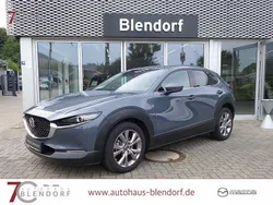 Polymetal grau Gebraucht 2021 Mazda CX-30 Active SUV | 20.900 € (Fairer Preis)