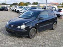 Schwarz metallic Gebraucht 2004 VW Polo Kleinwagen | 300 € (Superpreis)