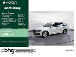 Candyweiß Gebraucht 2022 Skoda Octavia Ambition Kombi | 20.360 € (Guter Preis)