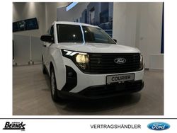 Weiß Neu 2025 Ford Transit Trend Van / Kleinbus | 23.995 € (Guter Preis)