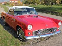 Rot Gebraucht 1955 Ford Thunderbird Cabrio | 47.800 €