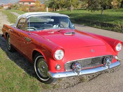 Rot Gebraucht 1955 Ford Thunderbird Cabrio | 47.800 €