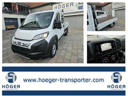 Weiß Neu 2025 Fiat Ducato Van | 29.240 € (Etwas zu teuer)