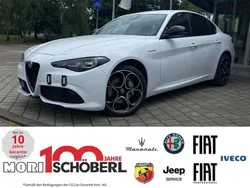Bianco alfa Gebraucht 2023 Alfa Romeo Giulia Veloce Limousine | 39.990 € (Fairer Preis)