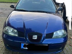 Blau Gebraucht 2002 Seat Ibiza Kleinwagen | 1.000 € (Fairer Preis)
