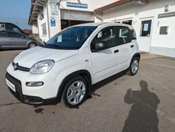 Weiß Neu 2024 Fiat Panda Kleinwagen | 14.990 €