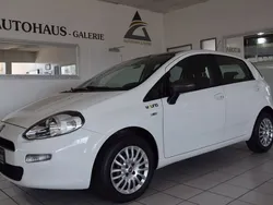 Weiß Gebraucht 2014 Fiat Punto Young Kleinwagen | 4.888 € (Etwas zu teuer)