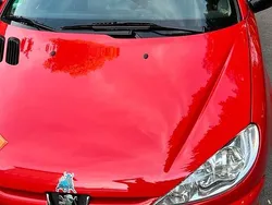 Rot Gebraucht 2004 Peugeot 206 CC Cabrio | 3.259 €