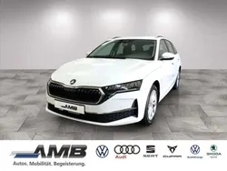 Moonweiss metallic Gebraucht 2025 Skoda Octavia Selection Kombi | 31.430 € (Guter Preis)