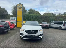 Jade weiss/arktis weiss Gebraucht 2018 Opel Grandland X Dynamic SUV | 13.900 € (Etwas zu teuer)