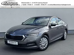 Grau Gebraucht 2022 Skoda Octavia Active Limousine | 18.980 € (Superpreis)