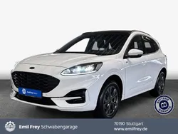 Weiß frozen white Gebraucht 2022 Ford Kuga ST-Line SUV | 28.950 € (Fairer Preis)