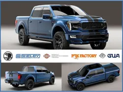 Blau Neu 2024 Ford Shelby SUV | 189.900 €