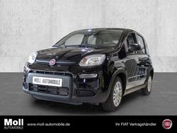Schwarz Gebraucht 2024 Fiat Panda Limousine | 12.980 € (Guter Preis)