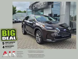 Fire agate mica metallic Gebraucht 2014 Lexus NX300h Executive Line SUV | 19.990 € (Guter Preis)