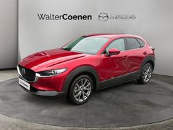 Rot Gebraucht 2023 Mazda CX-30 Selection SUV | 27.980 € (Etwas zu teuer)