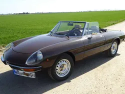 Braun Gebraucht 1980 Alfa Romeo Spider Cabrio | 27.800 €