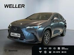 Grau Gebraucht 2024 Lexus NX350h SUV | 42.990 €