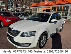 Weiß Gebraucht 2013 Skoda Octavia Limousine | 8.690 € (Fairer Preis)