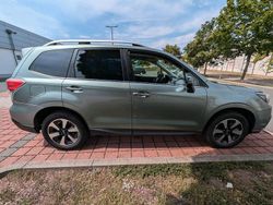 Grün Gebraucht 2016 Subaru Forester Premium SUV | 10.500 €