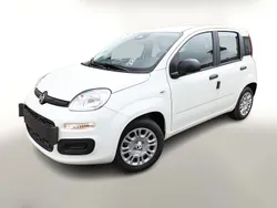 Gelato weiß Neu 2025 Fiat Panda Kleinwagen | 14.841 € (Fairer Preis)
