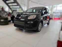 Schwarz Neu 2025 Fiat Panda Limousine | 12.990 € (Guter Preis)