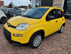 Gelb Neu 2024 Fiat Panda Kleinwagen | 15.780 €
