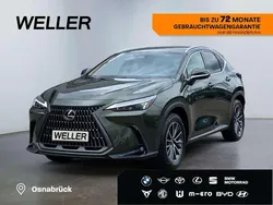 Gruen Gebraucht 2023 Lexus NX350h Business Edition SUV | 44.995 € (Teuer)