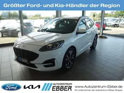 Weiss Gebraucht 2024 Ford Kuga ST-Line SUV | 38.878 €