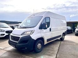 Colore esterno (weiss (pastell Gebraucht 2019 Fiat Ducato Van | 13.999 € (Superpreis)