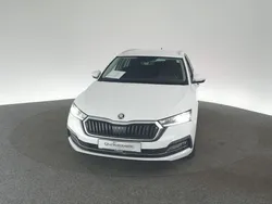 Weiß Gebraucht 2021 Skoda Octavia Style Kombi | 19.460 € (Fairer Preis)