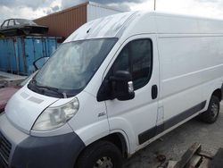 Weiß Gebraucht 2011 Fiat Ducato Van | 3.927 €