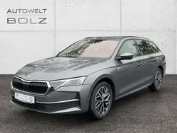 Grau Gebraucht 2024 Skoda Octavia Selection Kombi | 30.490 € (Superpreis)