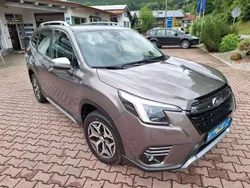 Brillant bronze ucd Gebraucht 2022 Subaru Forester Trend SUV | 28.900 € (Fairer Preis)