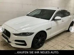 Weiß Gebraucht 2020 Jaguar XE S Limousine | 23.990 € (Fairer Preis)