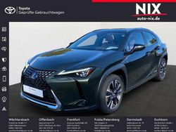 Grün Gebraucht 2021 Lexus UX 250h Luxury Line SUV | 31.000 € (Teuer)
