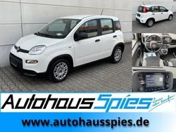 Weiß Gebraucht 2023 Fiat Panda Kleinwagen | 11.489 € (Guter Preis)