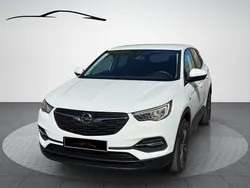 Weiß Gebraucht 2018 Opel Grandland X Selection SUV | 10.990 € (Guter Preis)