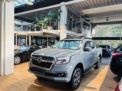 Grau Neu 2025 DFSK Rich 6 Abholung | 35.995 € (Fairer Preis)