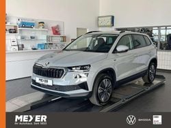 Blau Gebraucht 2024 Skoda Karoq Tour SUV | 33.890 € (Guter Preis)