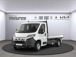 Weiss Neu 2025 Fiat Ducato Van | 40.480 € (Fairer Preis)