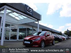 Rot Gebraucht 2021 Mazda 2 Sports-Line Kleinwagen | 17.990 € (Etwas zu teuer)