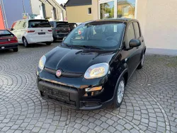 Colore esterno Gebraucht 2023 Fiat Panda Tech Kleinwagen | 11.900 € (Fairer Preis)