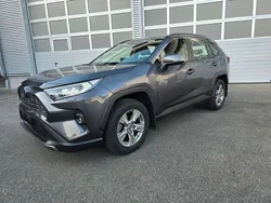 Mangagrau Gebraucht 2023 Toyota RAV4 SUV | 32.500 € (Fairer Preis)