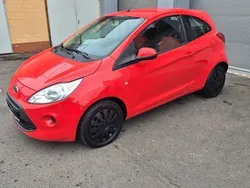 Rot Gebraucht 2013 Ford Ka Champions Edition Kleinwagen | 3.290 € (Fairer Preis)