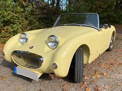 Gelb Gebraucht 1959 Austin Healey Frogeye Cabrio | 26.900 €